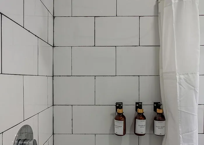 Amalli, Refugio Urbano Mexico City